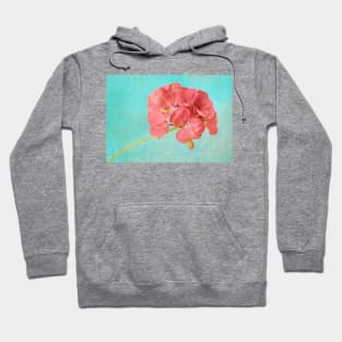 Sweet and Simple Hoodie